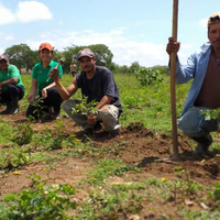 With a donation of 5,000 Euro to PRIMAKLIMA, meteocontrol GmbH supports a smallholder family in Nicaragua in the reforestation of a fallow area.